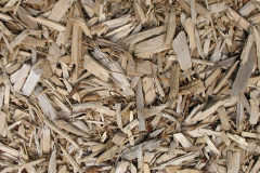 biomass boilers Varteg