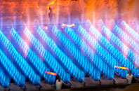 Varteg gas fired boilers